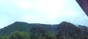 a view of a mountain with trees and clouds at Aracari Inn Mindo in Mindo +1 photo