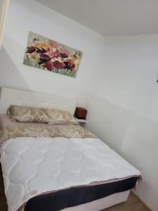 1 cama en un dormitorio con una pintura en la pared en Andjela, en Šabac