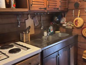 Chalet nature avec étang, terrasse et pêche No Kill - 2 chambres - FR-1-410-383 في Dehault: مطبخ صغير مع موقد ومغسلة