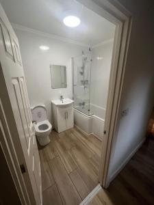 La salle de bains est pourvue de toilettes, d'un lavabo et d'une douche. dans l'établissement 1 Bedroom Flat with Parking, à Leicester