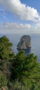 uma grande rocha no meio do oceano em MAISON SAINT MICHAEL em Capri