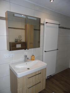 a bathroom with a sink and a refrigerator at Ferienwohnung Hof 22 in Hilchenbach