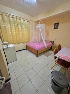 Schlafzimmer mit einem Bett mit Moskitonetz in der Unterkunft Hotel Mangueira in Paramaribo