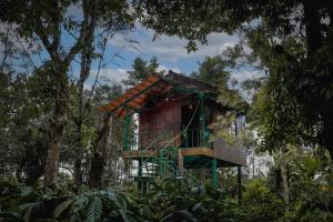 a tree house in the middle of a forest at LEXI MEADOWS in Virajpet