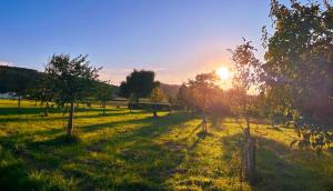 un campo con árboles y la puesta de sol en el fondo en Auszeit am Wiehengebirge, en Bad Essen