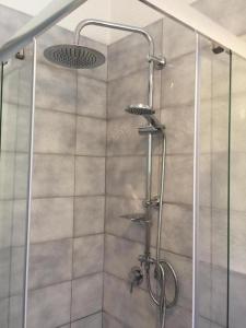 a shower with a glass door and a shower head at CASA TRIBOLATI SANTA REPARATA in Santa Reparata