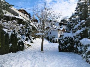 a tree in the snow in front of a house at Apartment Hannelore by Interhome in Omes +19 photos