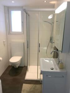 a bathroom with a shower and a toilet and a sink at Modern little gem close to lake Thun in Reutigen