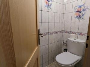 ein Badezimmer mit Toilette und gefliester Wand in der Unterkunft Charmant Gîte avec Garage et Local Vélos au Pied des Pistes de La Bresse - FR-1-589-127 in La Bresse + 10 Fotos