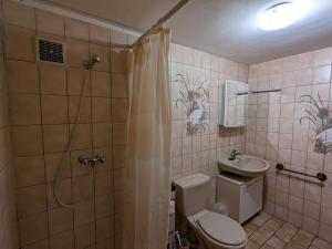 Koupelna v ubytování Gîte cosy à La Bresse - Proche sentiers, rivière et piste cyclable, idéal pour randonnées et séjours en famille - FR-1-589-168 + 16 fotografií