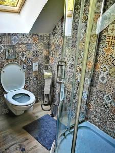 uma casa de banho com um WC e uma cabina de duche em vidro. em Koliba Senica em Senica