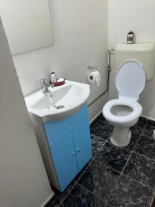 a bathroom with a white toilet and a sink at Dristor Residence in Bucharest