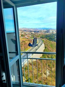 um pássaro de pé na beira de uma estrada olhando para fora de uma janela em UNDER the SKY em Rijeka