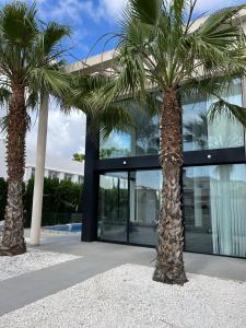 deux palmiers devant un bâtiment dans l'établissement Magnifique villa avec piscine privée, à San Fulgencio