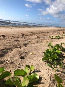 una playa de arena con plantas verdes en la arena en Casa Akua, en São Miguel dos Milagres