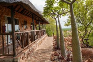 a walkway leading to a house with palm trees at Lucca Lodge in Musina