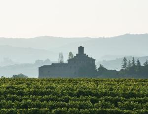 un edificio en medio de un campo de cultivos en VINEHO, en Barolo