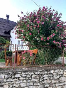 Una cerca con un arbusto con flores rosas. en Guesthouse Milka, en Poljanak