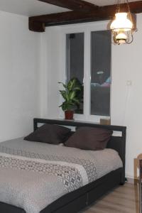 a bedroom with a bed and a window with a plant at Gite de La Falle in Plaine