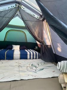 Fotografia z galérie ubytovania Glamping Las Palmas v destinácii El Pescadero