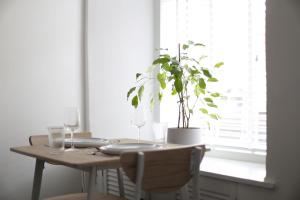 a dining room table with a potted plant on it at Bank Place in Crieff