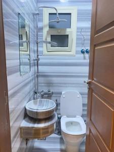 a small bathroom with a toilet and a sink at Luxury family apartment in Cairo