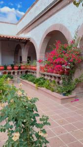 eine Gruppe Blumen in Töpfen auf einem Gebäude in der Unterkunft Hacienda de Comodejé in Huichapan