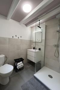 ein Bad mit einem WC und einer Glasdusche in der Unterkunft PEP'S studio tout neuf au centre ville in Sélestat