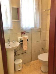 a bathroom with a toilet and a sink at Ezecent Guest House in Meyerton