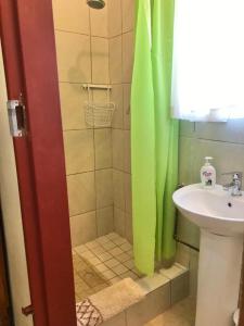 a bathroom with a shower and a sink at Ezecent Guest House in Meyerton