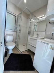 ein Bad mit einem WC, einer Dusche und einem Waschbecken in der Unterkunft Studio magnifique vue mer et port in Valras-Plage