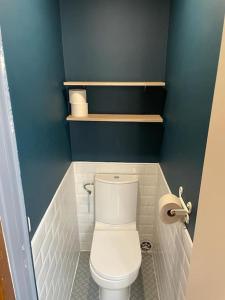 La salle de bains est pourvue de toilettes blanches et de murs bleus. dans l'établissement Le Duplex de la Reine, à Chambéry