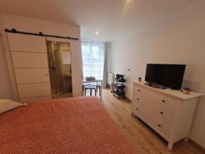 um quarto com uma cama e uma televisão numa cómoda em Guestroom Létricourt, 2 pièces, 4 personnes - FR-1-584-197 em Létricourt