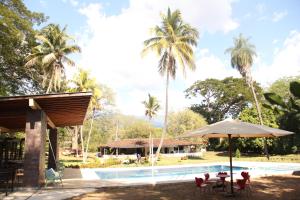 a pool with chairs and an umbrella and palm trees at Hermosa Finca La Rochela, Santa fe de Antioquia in Santa Fe de Antioquia