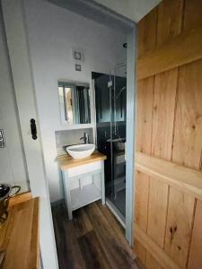 a bathroom with a sink and a glass shower at The Hut@Trefechan Wen - Coastal Coziness! in Goodwick