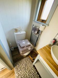 a small bathroom with a toilet and a sink at The Hut@Trefechan Wen - Coastal Coziness! in Goodwick +72 photos