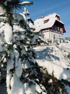 un árbol cubierto de nieve frente a una casa en Ubytování Javorka, en Česká Třebová