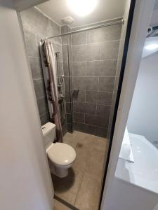 łazienka z toaletą i prysznicem w obiekcie Le Kleber w mieście Montreuil