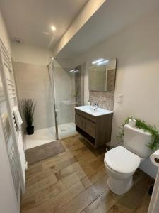 een badkamer met een toilet, een wastafel en een douche bij Maison des Bruyères in Bracieux