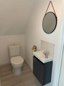 een badkamer met een toilet, een wastafel en een spiegel bij Maison des Bruyères in Bracieux