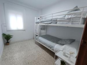 Habitación blanca con litera y planta en Precioso apartamento en Sevilla., en Camas