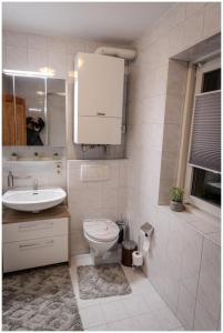 a bathroom with a toilet and a sink at Appartement Franz in Bad Ischl