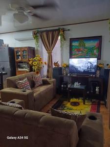 sala de estar con sofás y TV de pantalla plana. en Summer house, en Puerto Jiménez