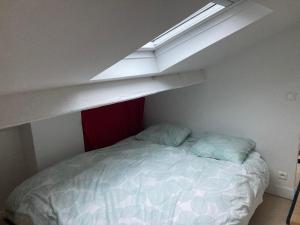 a bedroom with a bed and a skylight at calme et verdure à Paris in Paris