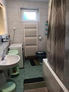 bagno con lavandino e servizi igienici di Guesthouse Milka a Poljanak