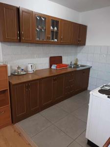 una cucina con armadi in legno, lavandino e piano cottura di Guesthouse Milka a Poljanak