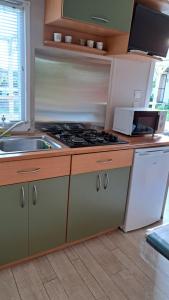 a kitchen with a stove and a sink at Le jardin de Domi in Ventiseri