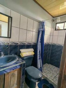 a bathroom with a blue toilet and a sink at Casa privada en el Bosque Nuboso Del Cocora in San Ramón