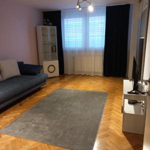 un soggiorno con divano e tappeto di Apartment Blue Moon a Lubiana