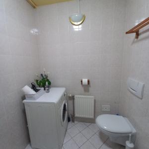 bagno bianco con servizi igienici e lavandino di Apartment Blue Moon a Lubiana
